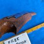 Compassed Spokeshave Image 3