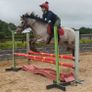 Pony for lease at livery yard Image 3