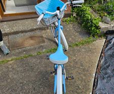 Free ladies bicycle to collect in Lusk.