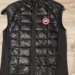 canada goose