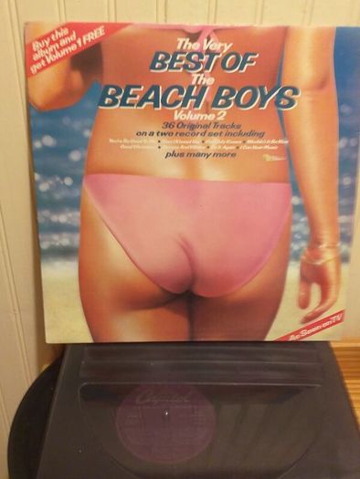 The Beach Boys.
