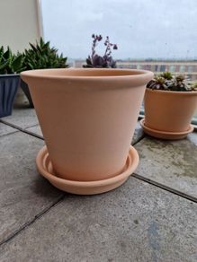 Terracotta Plant Pot
