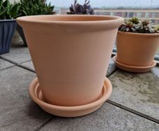 Terracotta Plant Pot