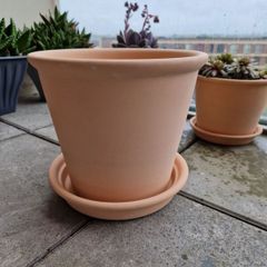 Terracotta Plant Pot