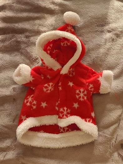 Christmas Dog Coat