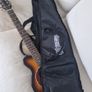 Pignose PGG-200,  Brown Sunburst, Excellent Condition, Original Gig Bag Image 9