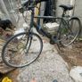 Bike Image 2