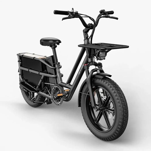 FIIDO T2 Longtail Cargo Electric Bike