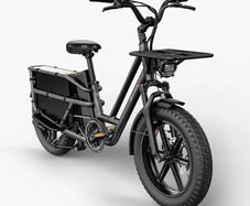 FIIDO T2 Longtail Cargo Electric Bike