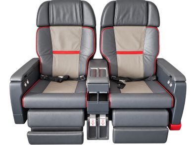 TAP Air Portugal Business Class Recliner Seats Genuine Aircraft Double Seat