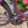 Bike Image 7