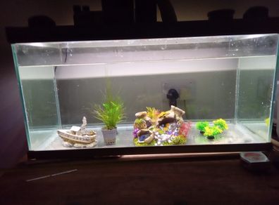 Fish Tanks For Sale