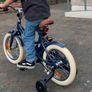 Boys Blue Stoy Bike Image 3
