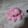 Reversible octopus Image 4