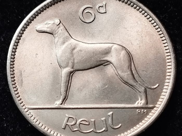Ireland - 1955 - 6 Pence - UNC - KM.13a - [2796]