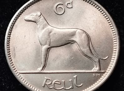Ireland - 1955 - 6 Pence - UNC - KM.13a - [2796]