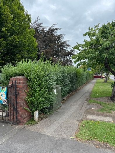 Gardening & Tree Service
