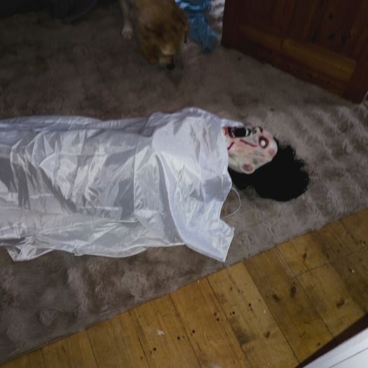 halloween prop levitator girl