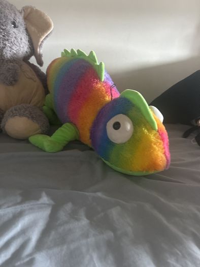3 large teddies - free