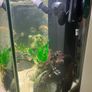 240 litre Aquarium Image 5