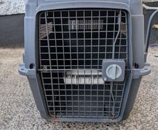 AniOne dog transport L