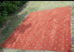 Lovely new wool axminster carpet from Arnotts