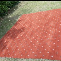 Lovely wool axminster carpet