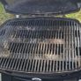 Webber gas bbq Image 3