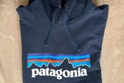 patagonia hoodie M