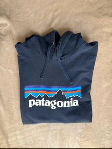 patagonia hoodie M