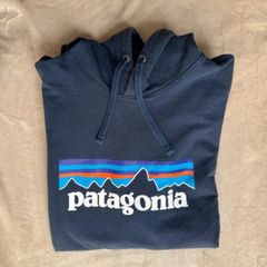 patagonia hoodie M