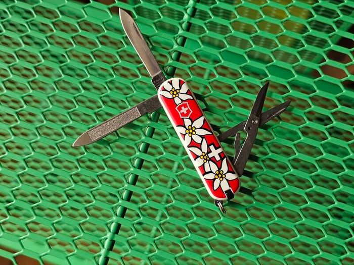 Vintage Wenger Esquire 65mm Swiss Army Knife Discontinued Collectable with Modern Delemont Victorinox Scales