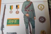 Irish Volunteer Soldier  13 To 23