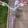 Unicorn Bike Image 3