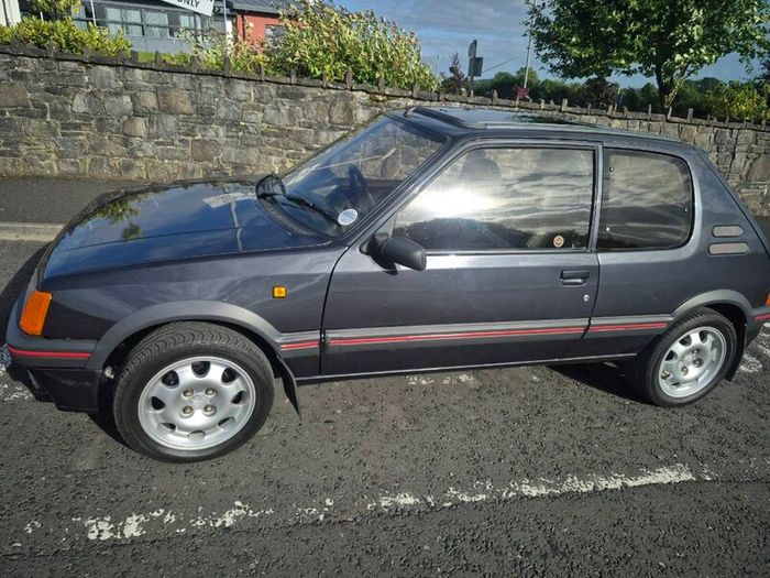 Peugeot 205 1.6 GTI 1990