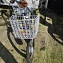 Trike Electric Image 3