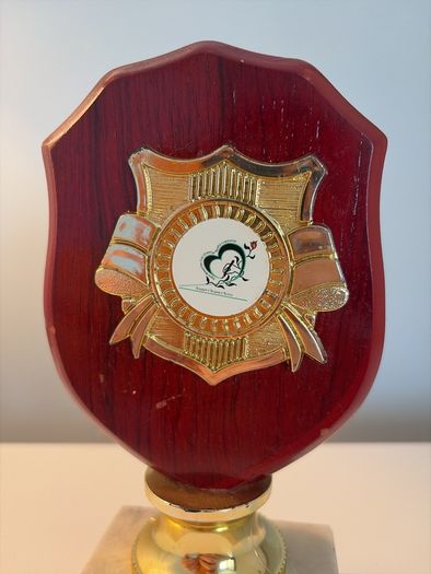 Wooden trophy