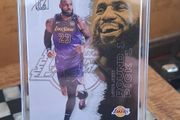 Lebron James Sports Card