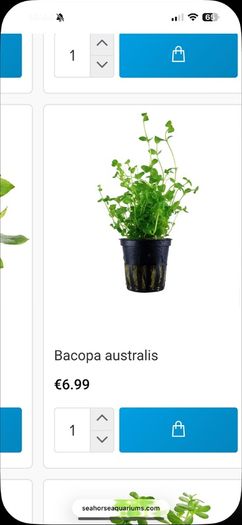 Fish Tank Plants