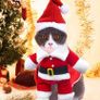 Cat Christmas Outfit, Christmas Pet Clothes Dog Cat Christmas Costume Santa Claus Pet Hoodie Coat for Small Medium Dogs Cats (M Size) Image 7