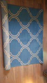 Indoor/outdoor rug in excellent condition