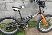 Carve Bike