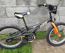 Carve Bike