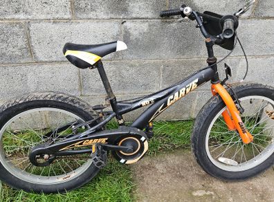 Carve Bike