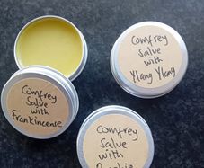 Comfrey Salve