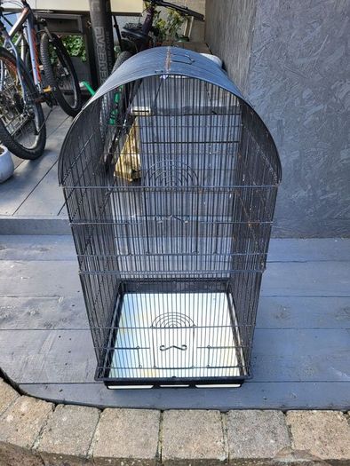 bird cage