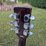 Angelica Vintage Acoustic Guitar Image 8