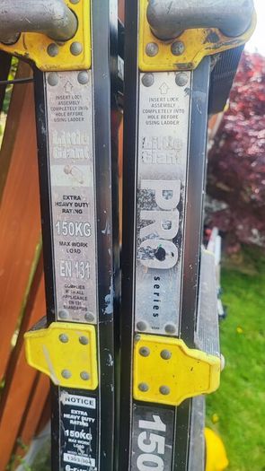 Little Giant 6 step ladder