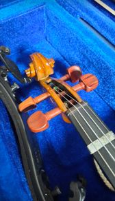 violin