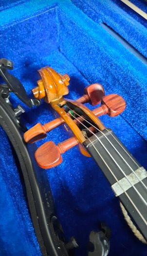 violin